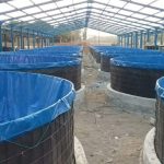 Apa Itu Kolam Bioflok? Panduan Lengkap untuk Pemula